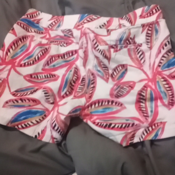 Shorts - Picture 2 of 2